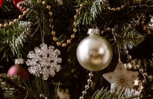 Sapin